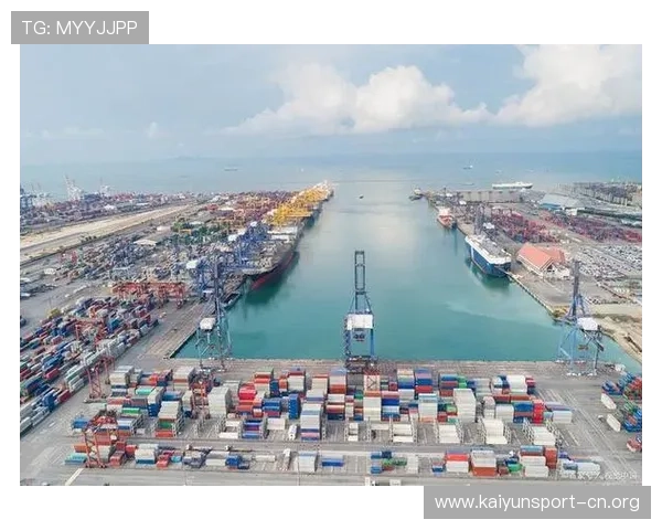 九博国际引领多元发展新格局打造全球化创新合作平台新篇章